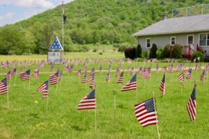 Hundreds of American flag fly on the front lawn of Alan Robison on Kill Buck Road in Kill Buck as a tribute to all veterans, including his late father Willis Robison. (Rick MIller/Olean Star)