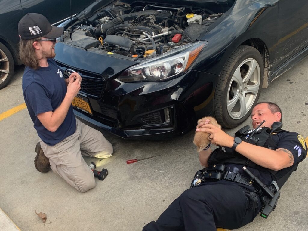 (Photo provided) Olean Police Sgt. Kris Lickfeld hold a kitten he grabbed from a hiding spot under the hood of a car owned by Heather Renyck, who heard it meowing as she dro9ve on East State Street Monday morning. At left is Cordell Hill, a Master Ford mechanic who happened by with tools to pop off plastic covers under the hood.