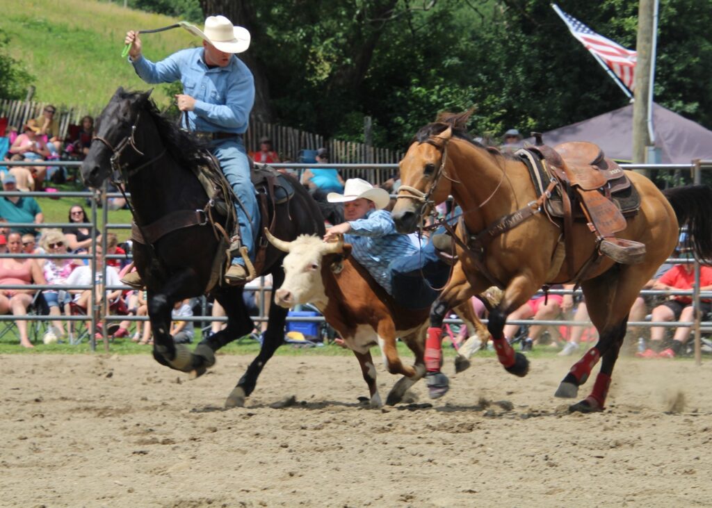 (Rick Miller/Olean Star)  A cowboy jumps from his racing horse to wrestle a steer to the dirt at the Ellicottville Championship Rodeo on Sunday.