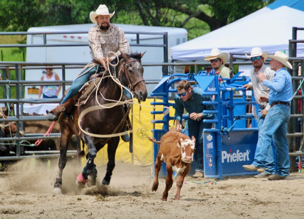 (Rick Miller/Olean Star) A cowboy participating in the Ellicottville Championship Rodeo Sunday gets ready to rope a calf.