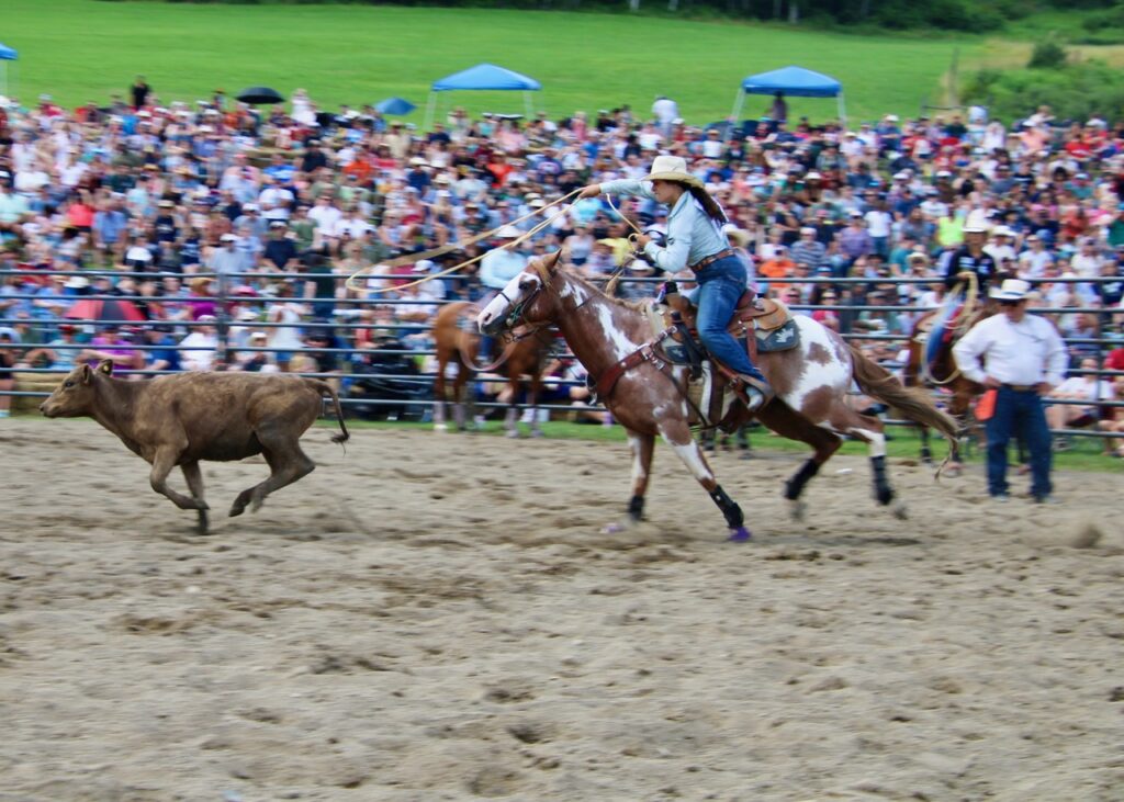 (Rick Miller/Olean Star)  A cowgirl participates in the calf roping event at Sunday’s Ellicottville Championship Rodeo.