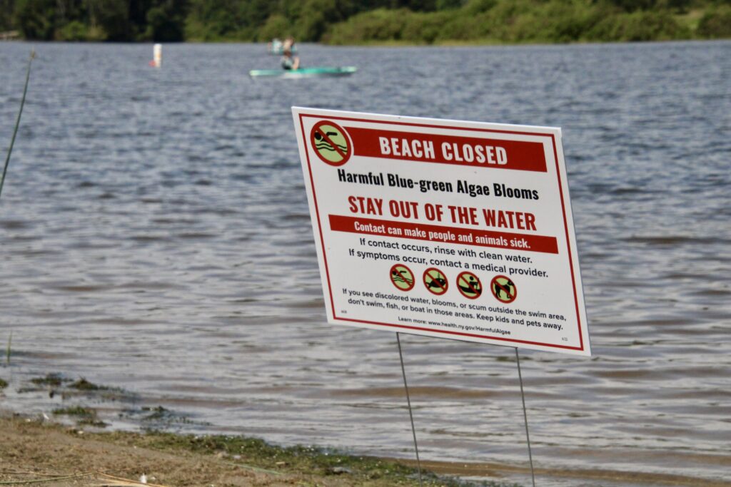 (Rick Miller/Olean Star) Harmful algae blooms of blue-green algae have closed Red House Lake and Quaker Lake in Allegany State Park going into the last week of summer. This sign is at the water line on Red House Lake beach.