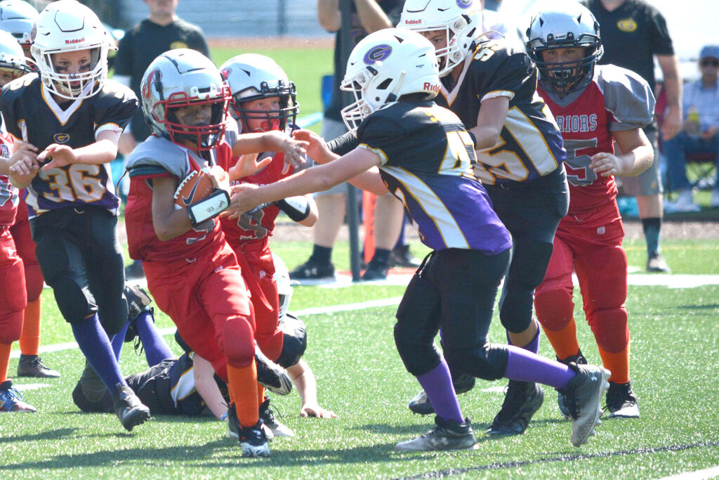Salamanca warriors Pee Wee Action vs Springville Griffins 9-14-24-1