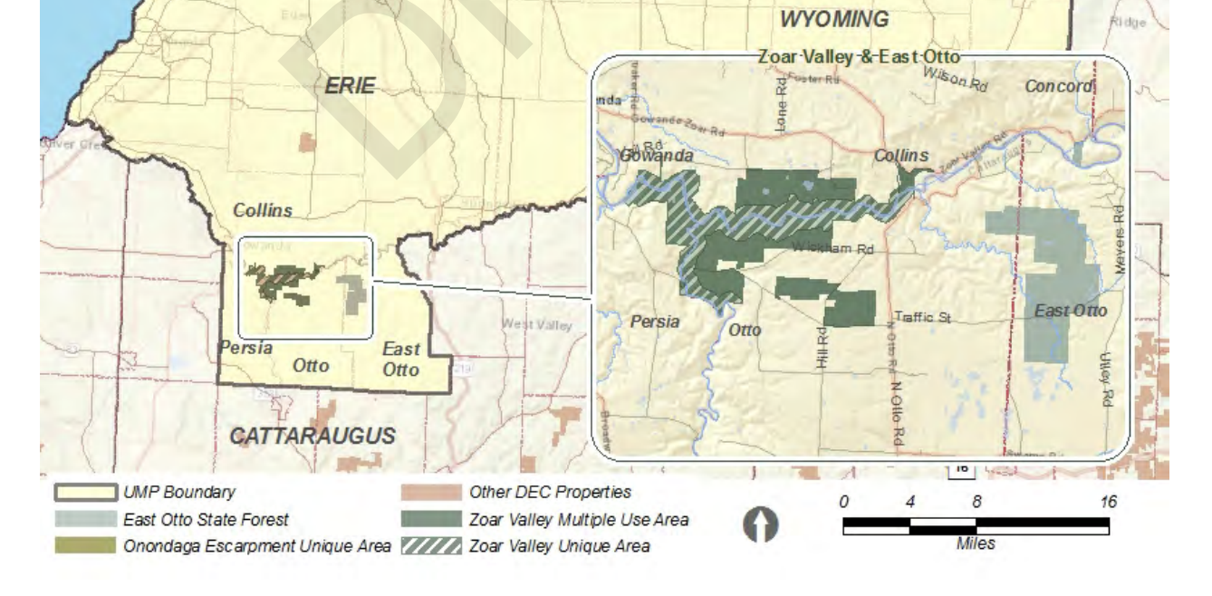 DEC graphic Hundreds of acres in the Cattaraugus County towns of Persia, Otto and East Otto would be logged — included large clear-cuts — under a state DEC plan