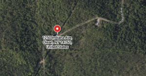 American Chestnut