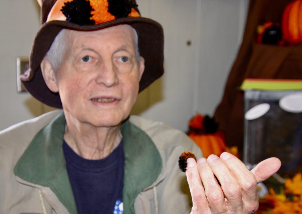 (Rick Miller/Olean Star) Norm Marsh, chairman of the Cattaraugus County Legislature's Development and Agriculture Committee, holds a caterpillar he used to predict the severity of the 2024-25 winter at the W.I.L.M.A. Wooly Bear Weekend.