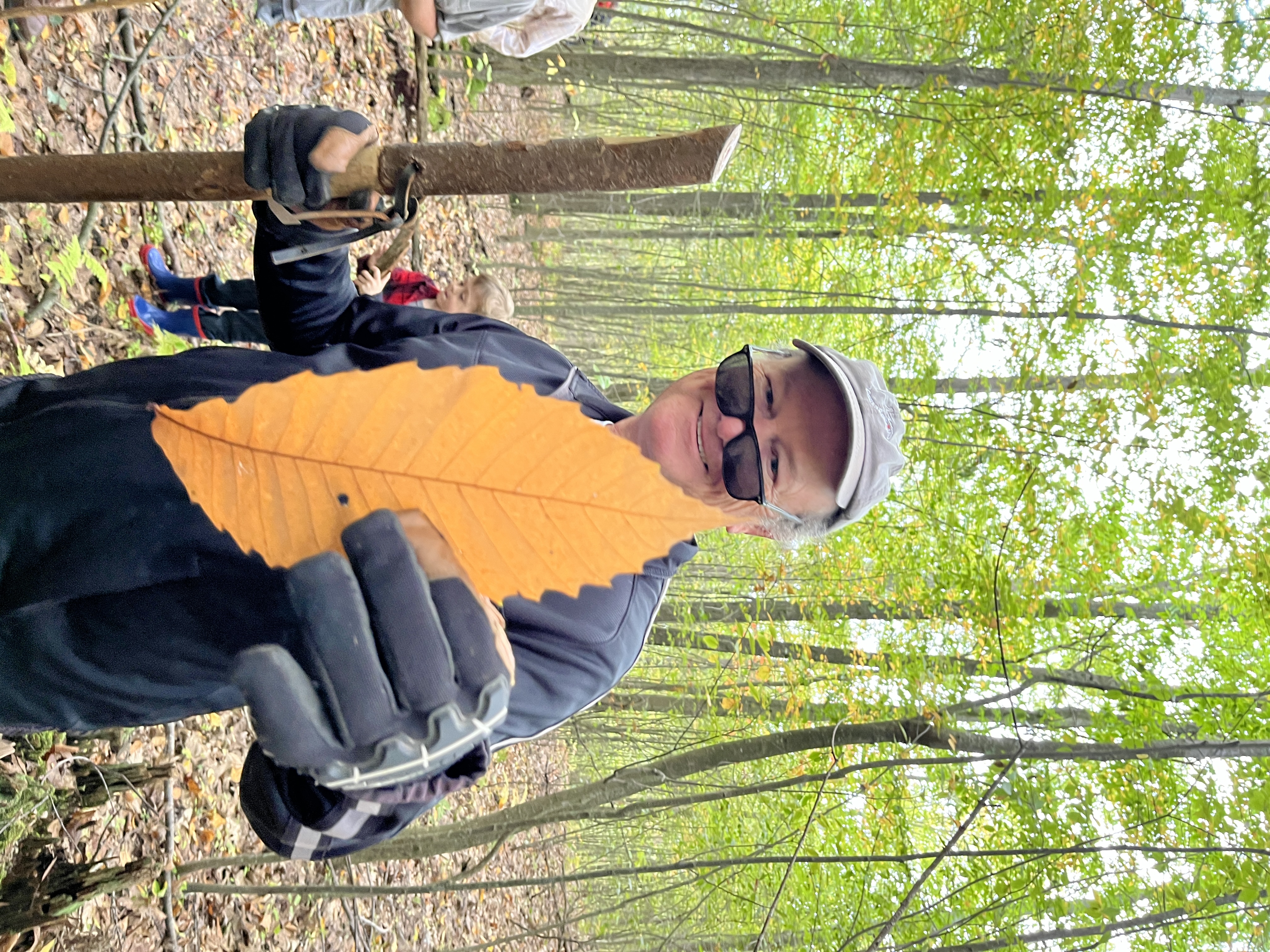 (Rick Miller/Olean Star)  Woodlot owner Jim Brady of Olean holds an American chestnut tree leaf.