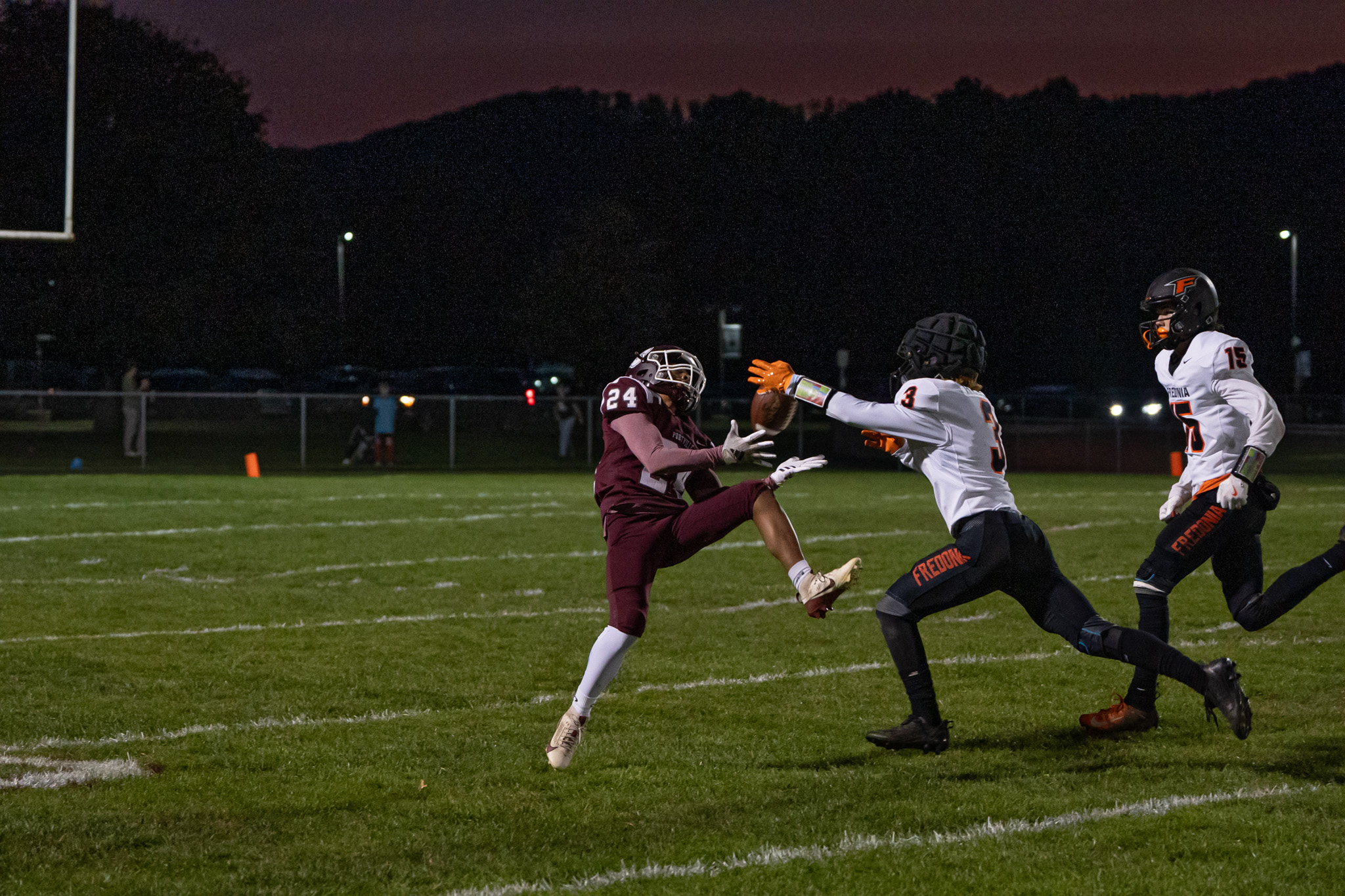 PORTV 24.jpg Photo by Hunter O. Lyle Mehki Muhyee dives for a reception during the Panthers’ 28-6 win over Fredonia.