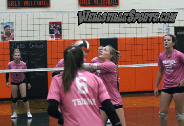 Photos and stories by CHRIS BROOKS, managing editor, wellsvillesports.com