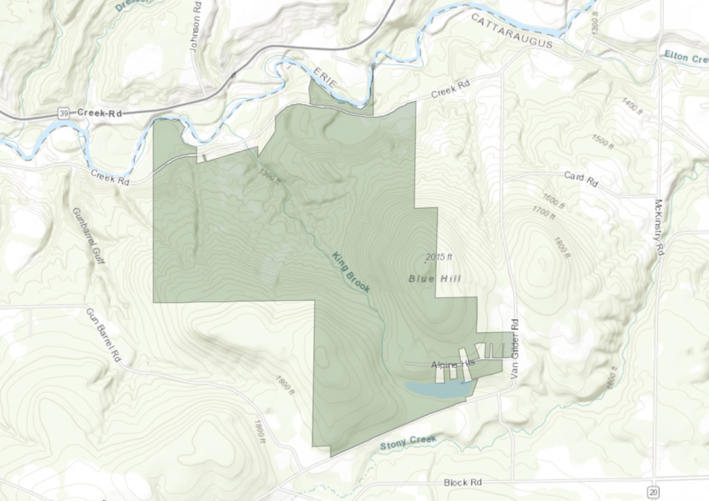 Maps and additional information about Blue Hill State Forest can be found on DECinfo Locator.