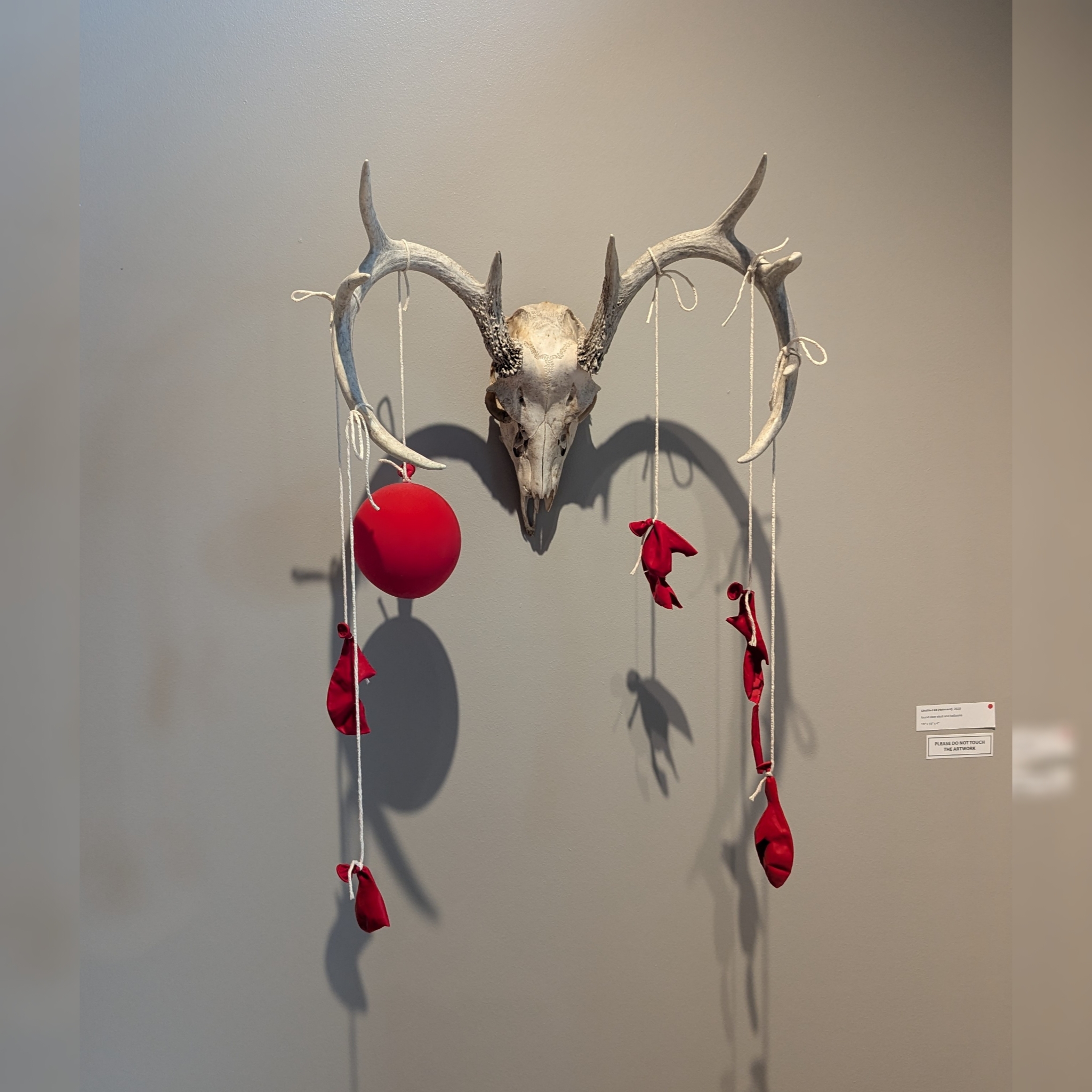 Tammy Renée Brackett,