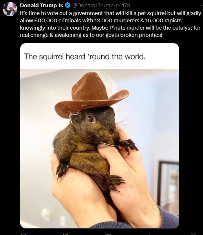 RIP Peanut
2016-2024