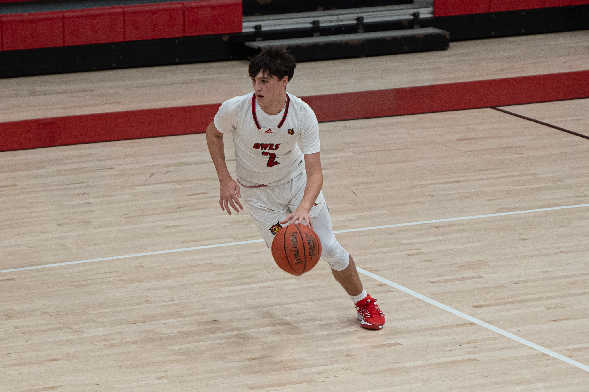 Bradford's Evan Troisi takes the ball down court during the Owls' win over Punxsy last Thursday. On Monday, he scored a team-high 14 points in the team's win over Port Allegany. | File photo by Hunter O. Lyle