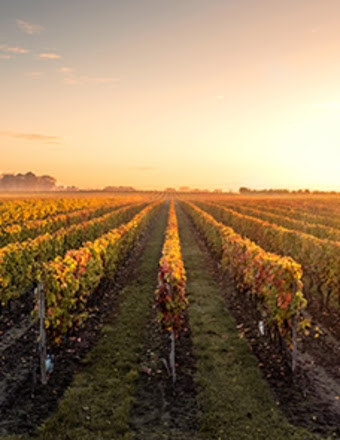 Maureen Kay Courtney Mayer