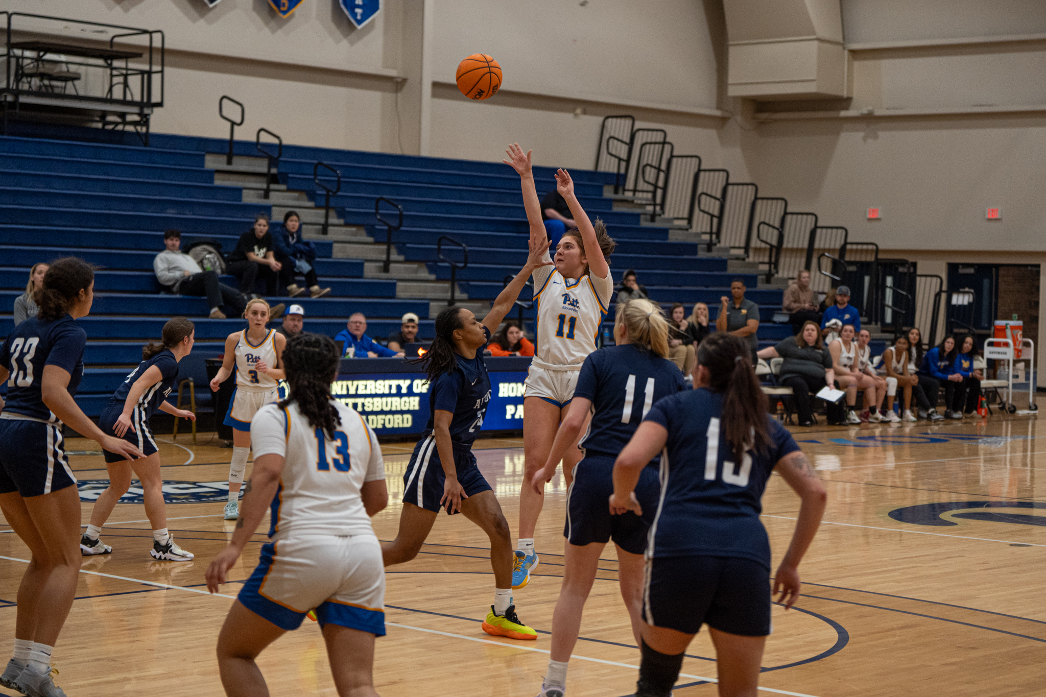 Pitt-Bradford's Paige Gratto pulls up from inside the arc during the Lady Panthers' 77-54 loss to Penn St.-Altoona. | Photo by Hunter O. Lyle