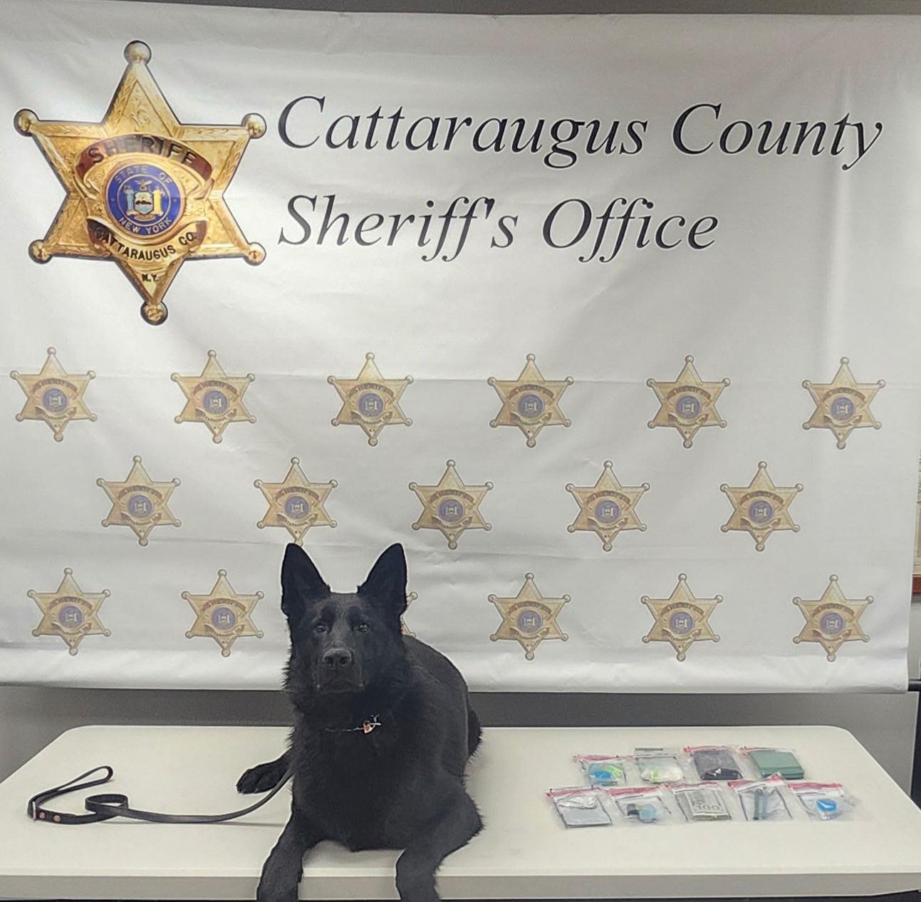 (Sheriff's Office photo) K-9 Rex lies with some of the drugs and paraphernalia discovered during a traffic stop by Cattaraugus County Sheriff's deputies on North 12th Street in Olean March 14. Two Allegany residents were charged.